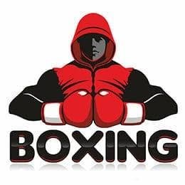 Boxe Anglaise Performance